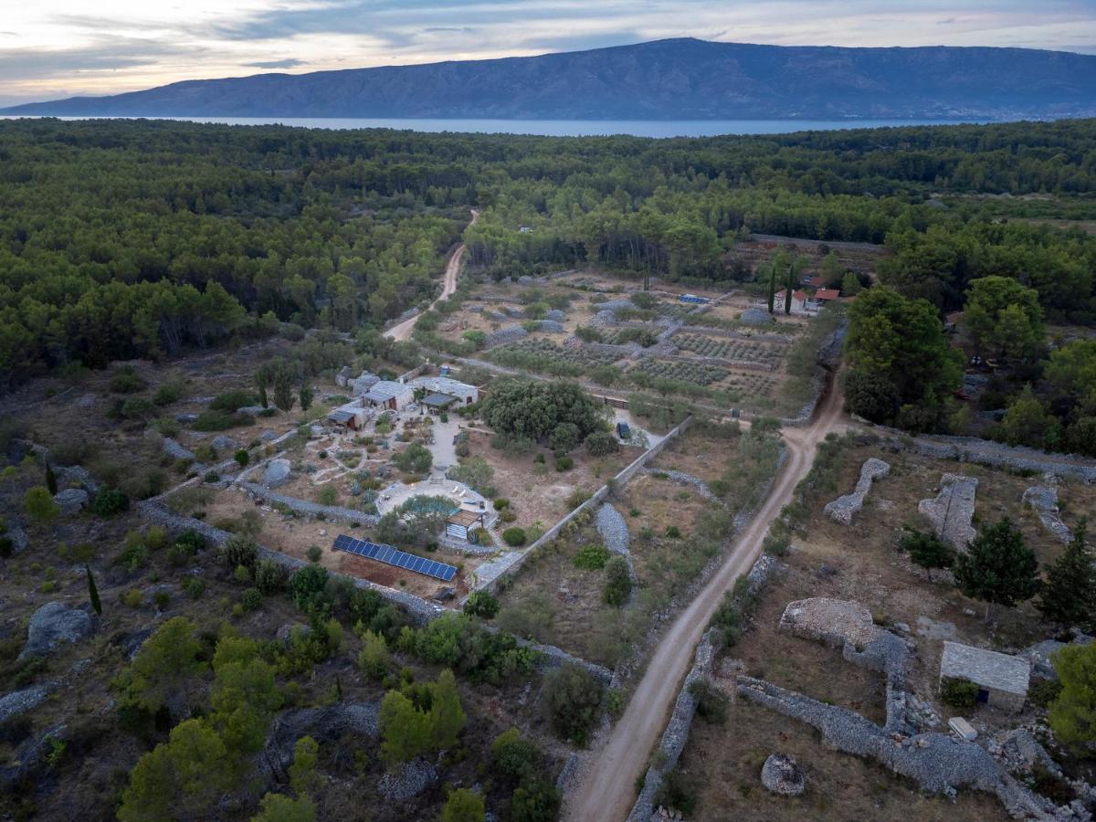 Villa Oxa Dreamland 스타리 그라드 외부 사진